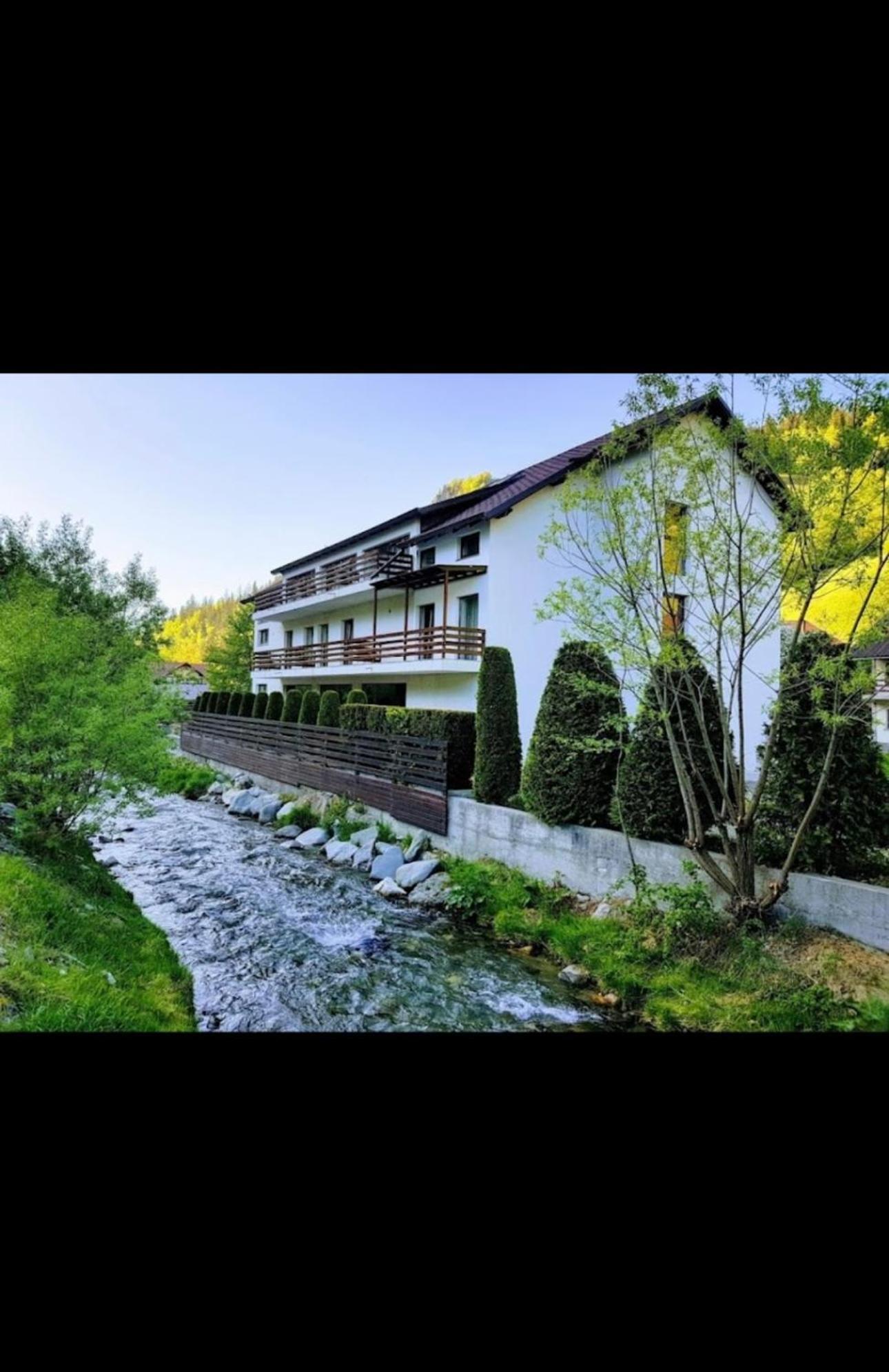 House Of River Moeciu De Sus Exteriér fotografie